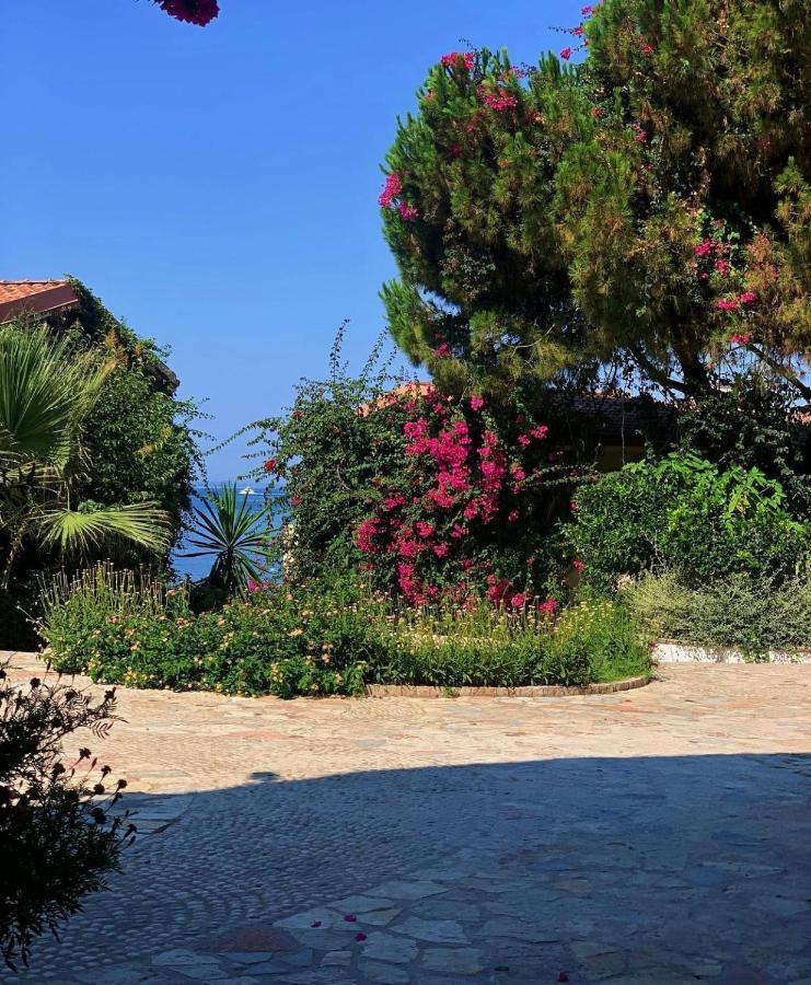 布干维尔湾贝拉维斯塔公寓 Sarandë 外观 照片