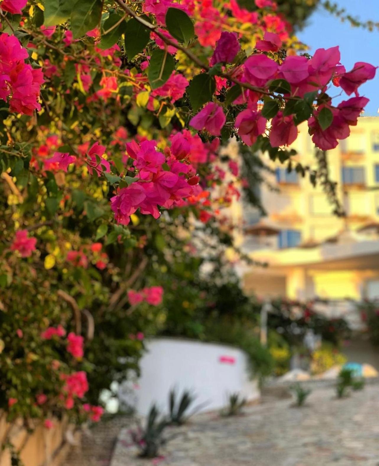 布干维尔湾贝拉维斯塔公寓 Sarandë 外观 照片